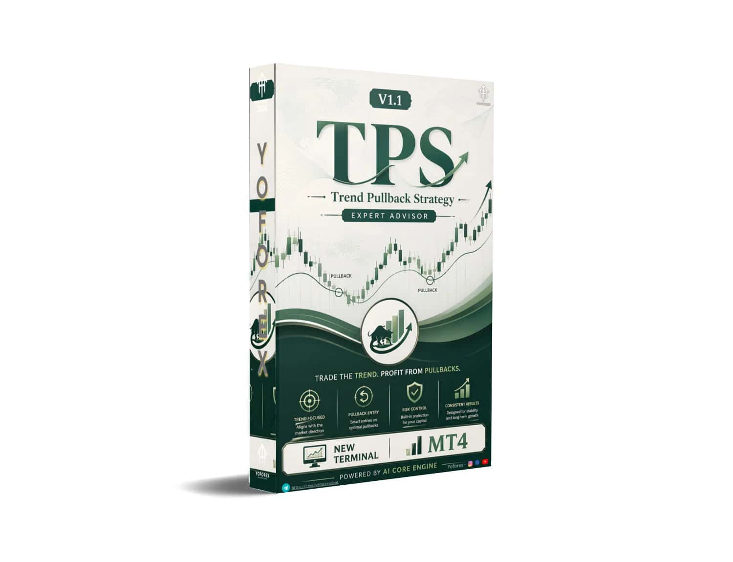 Trend Pullback System MT4