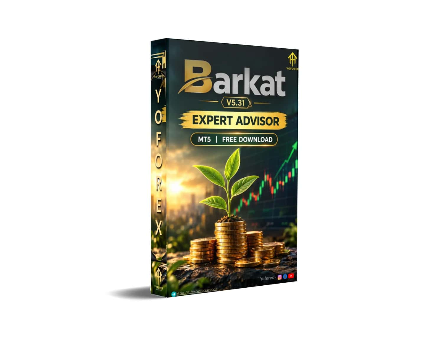 Barkat EA V5.31 MT5 