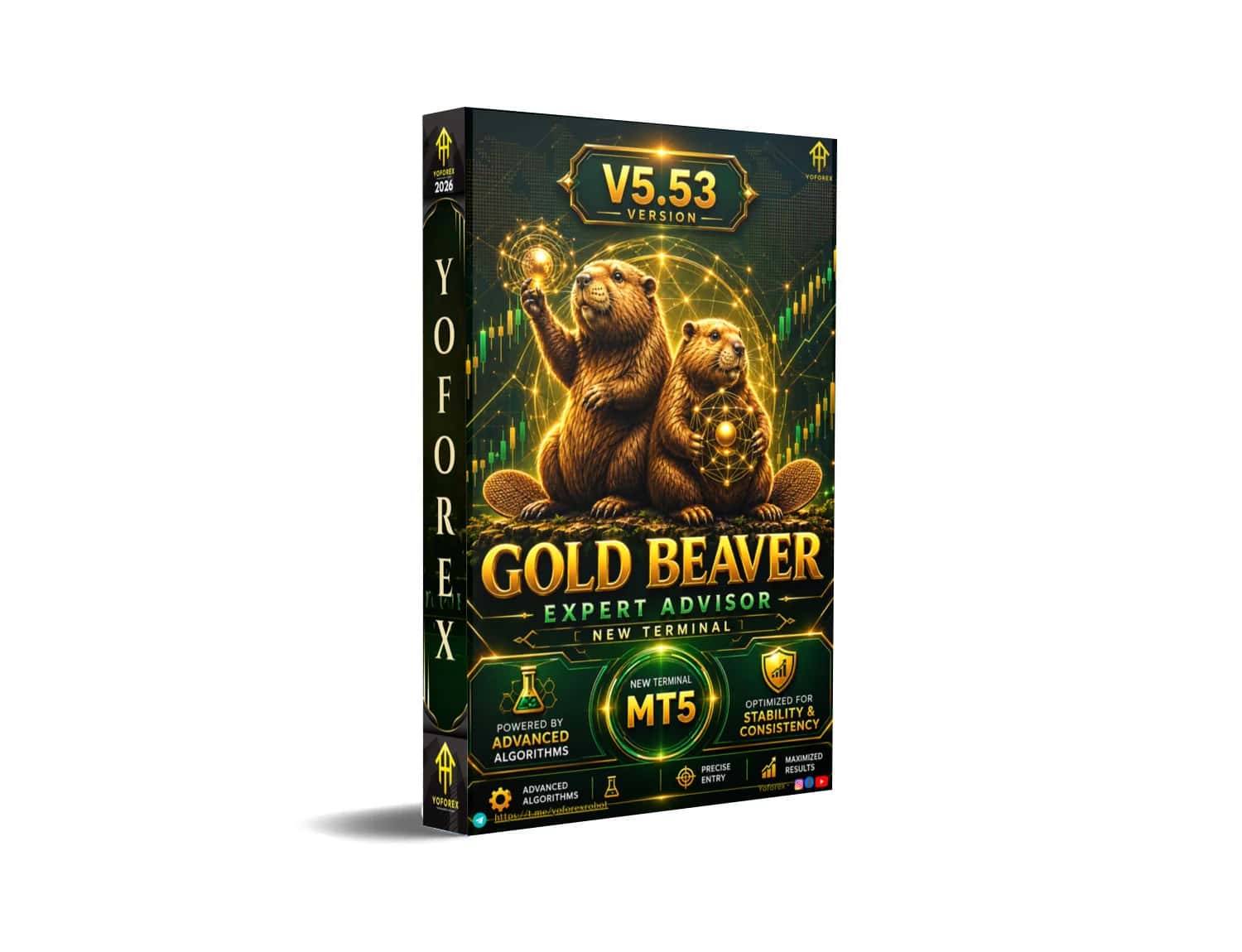 Gold Beaver EA V5.53 MT5