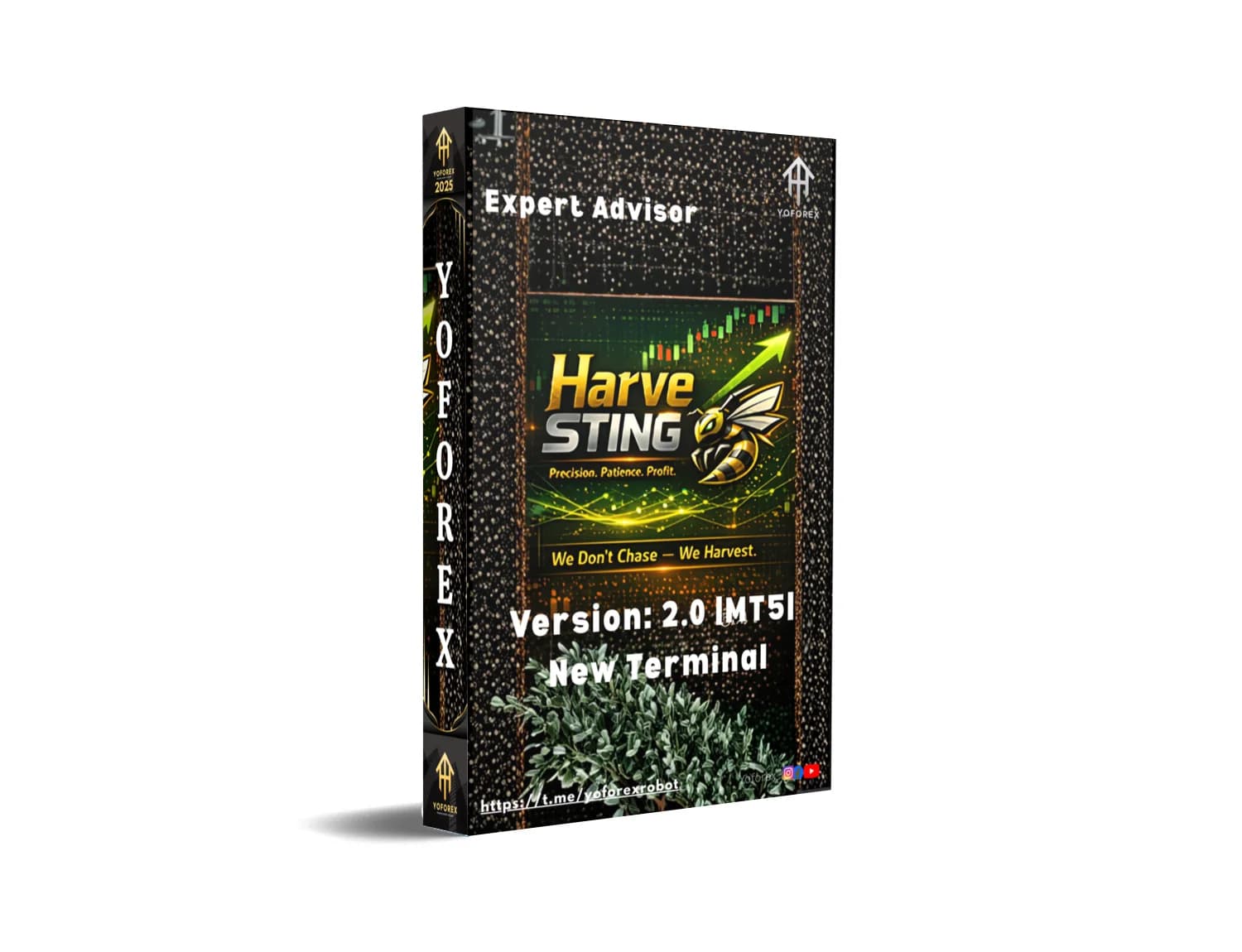 HarveSTING X MT5: Harvest Your Fortune Before the Market Devours It!
