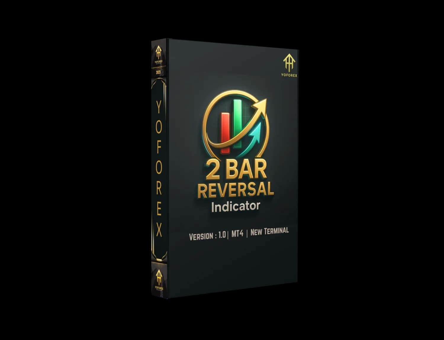 2 Bar Reversal Indicator V1.0 MT4