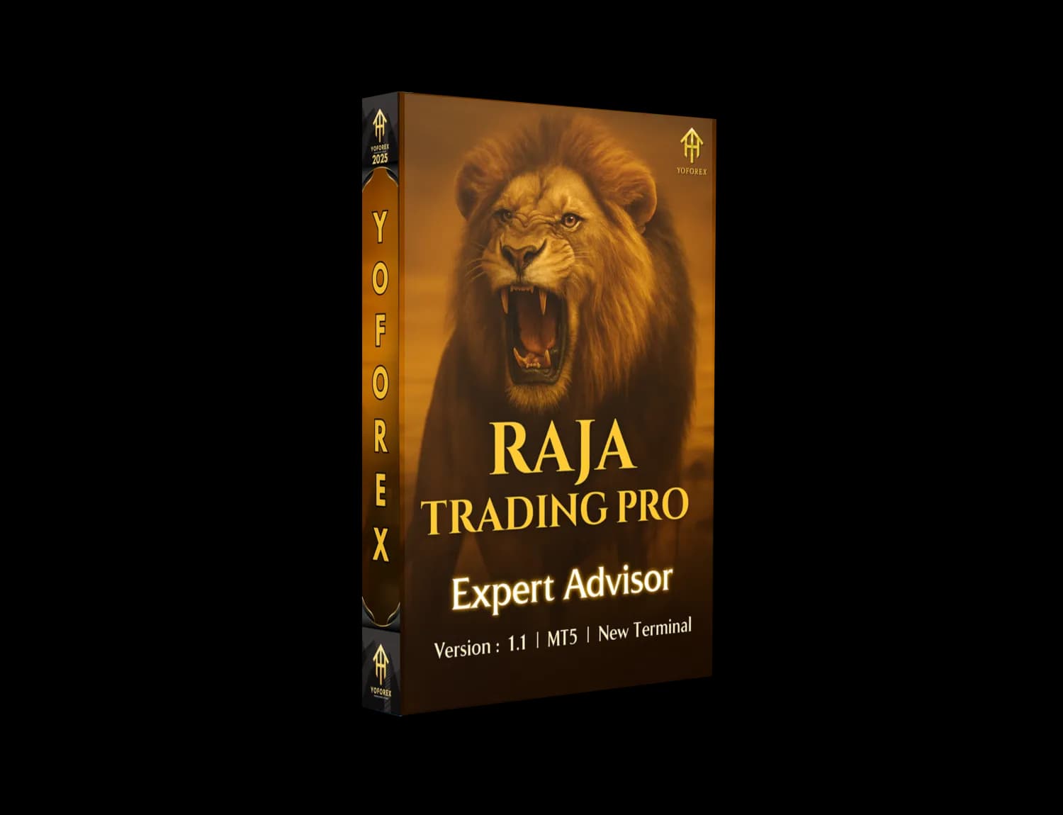 Raja Trading PRO EA V1.1 MT5