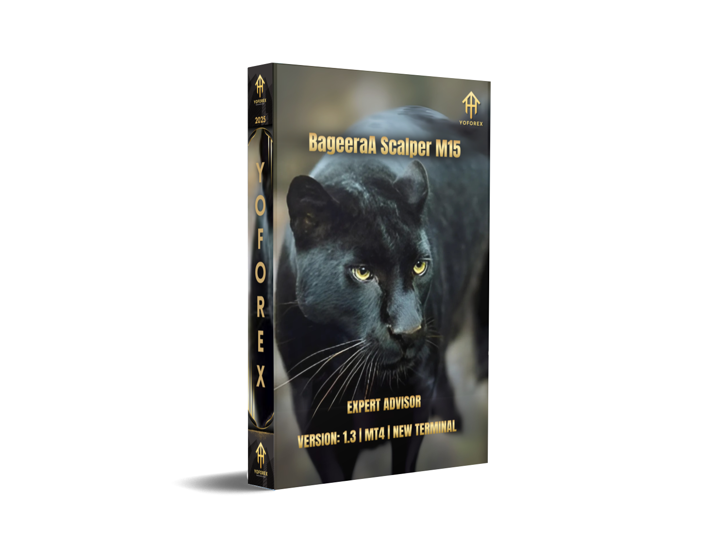 BageeraA Scalper M15 EA V1.3 MT4: Elite EUR/USD Scalping Bot - FREE DOWNLOAD