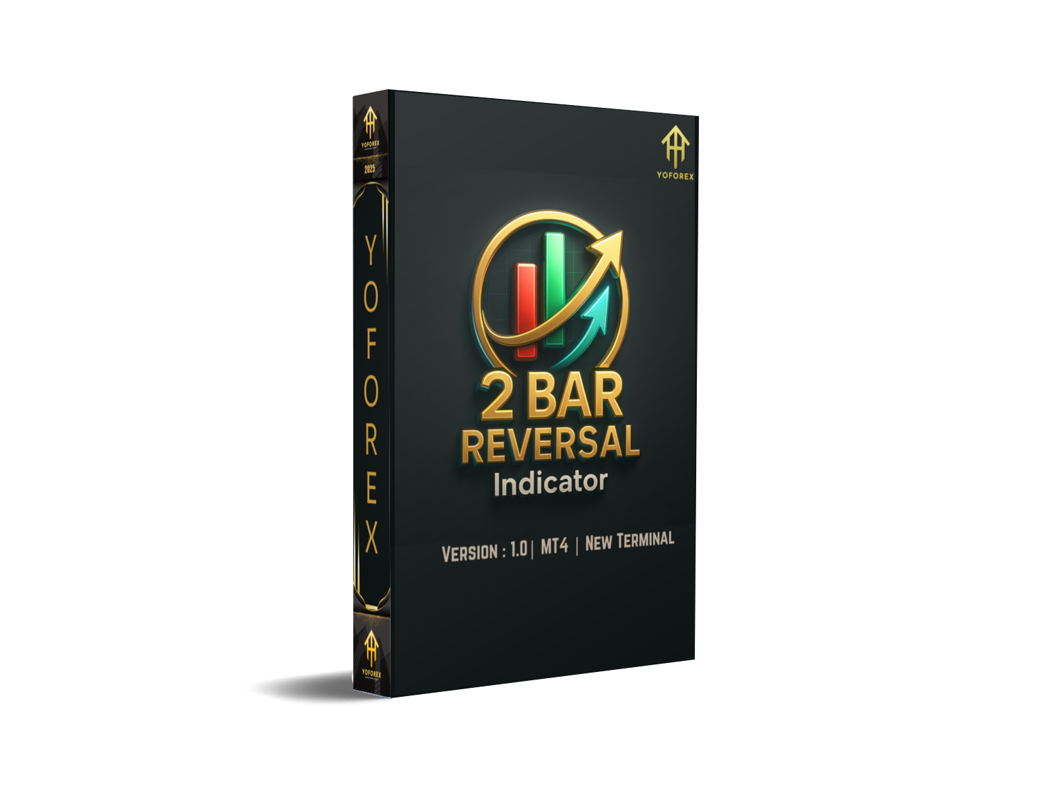 2 Bar Reversal Indicator V1.0 MT4